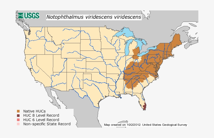 Distribution - Red Spotted Newt Distribution, transparent png download