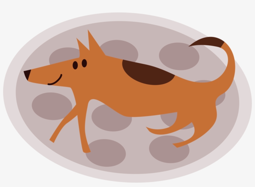 All Photo Png Clipart - Clip Art, transparent png download