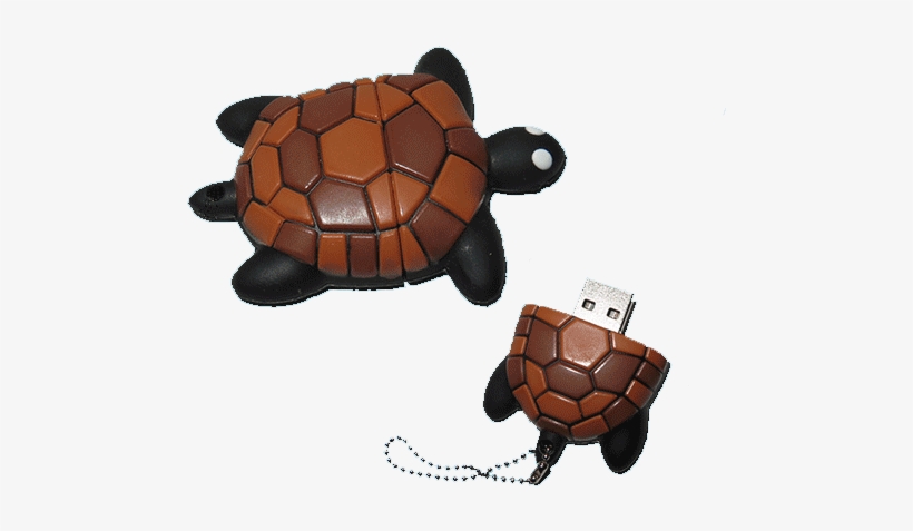 Athoyo's Usb Turtle Flash Drive 2gb - Desert Tortoise, transparent png download