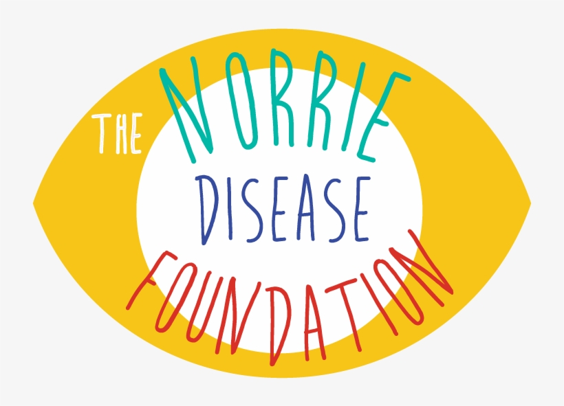 Norrie Disease Foundation, transparent png download