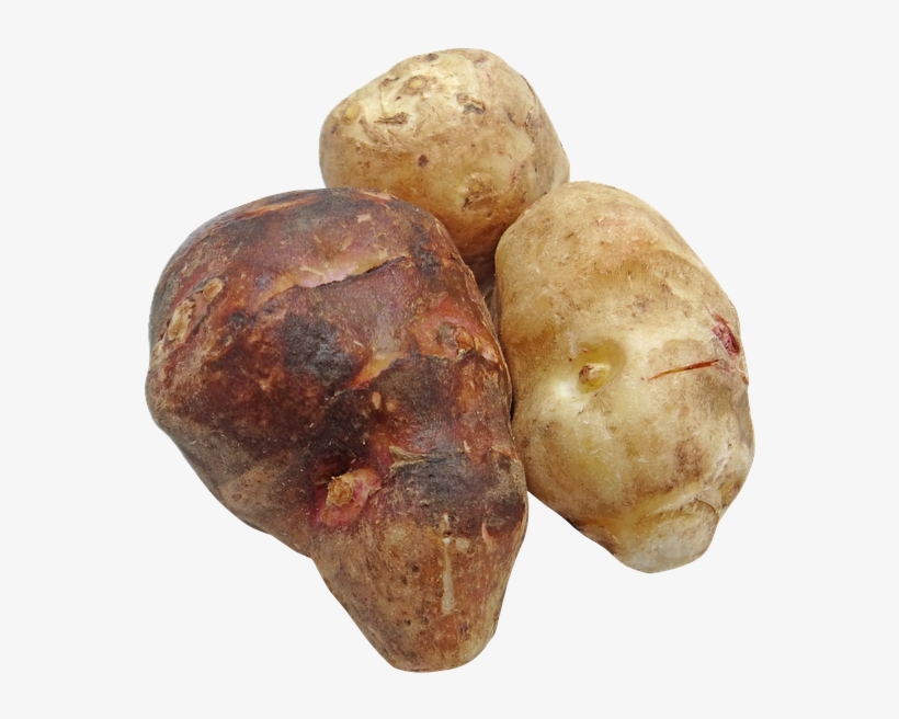 Plants Such As Fruits, Nuts, And Cereal Grains, But - Inulin By Christian Davis, transparent png download