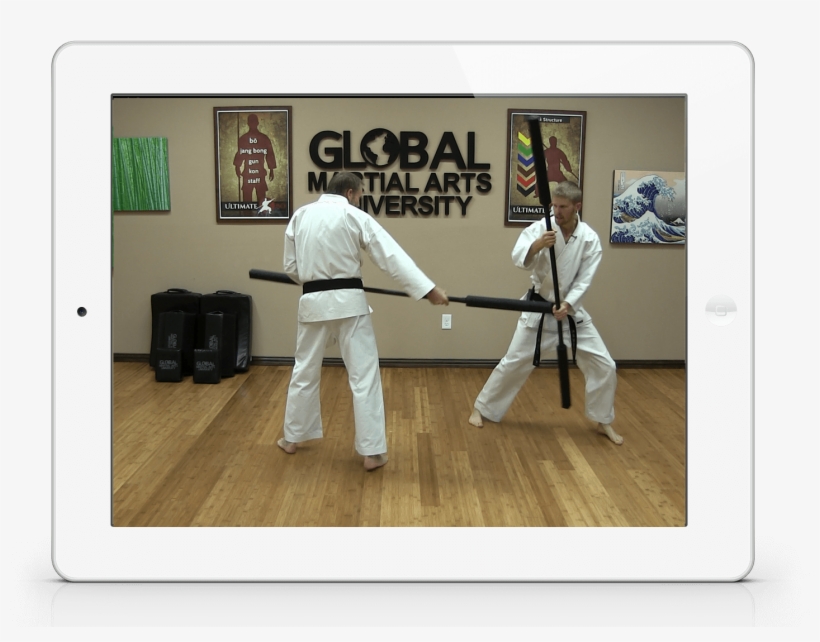 Includes A Complete White To Black Belt Level Course - Tardis V Katsushika Hokusai, transparent png download