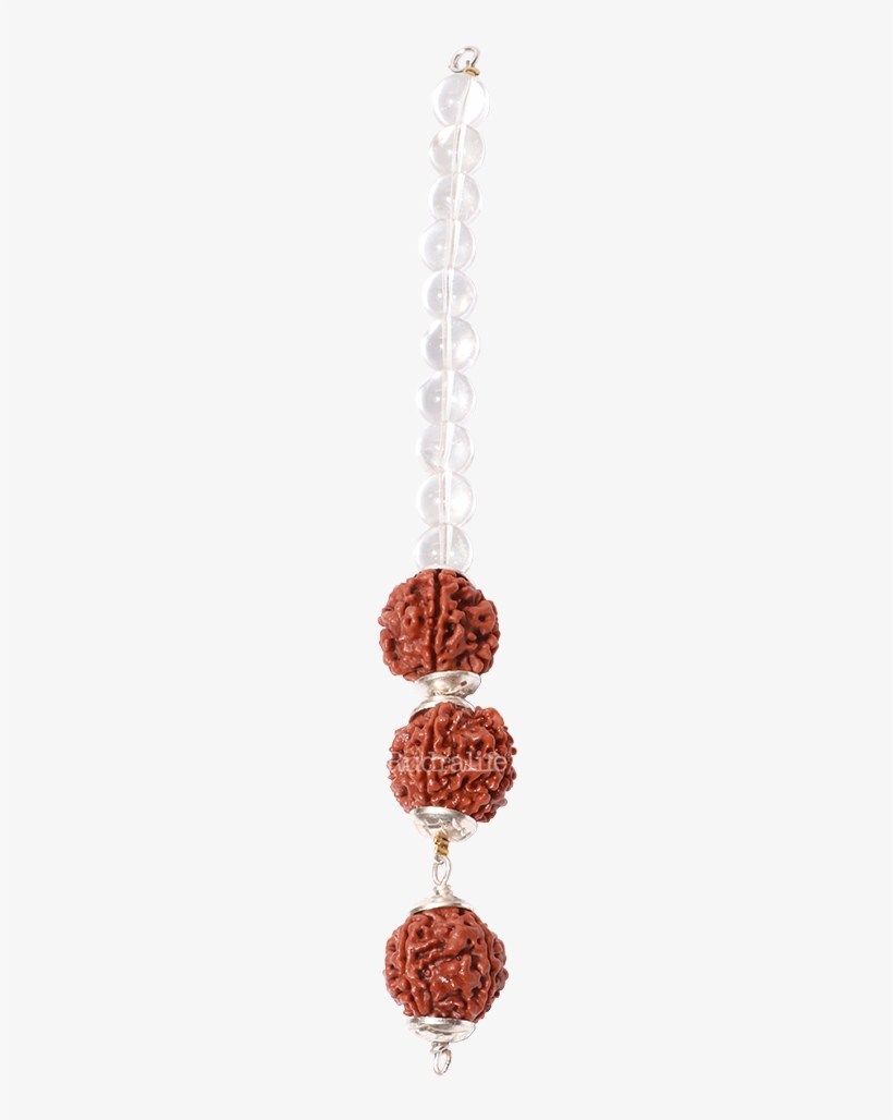 Student Room Hanging - Chain, transparent png download