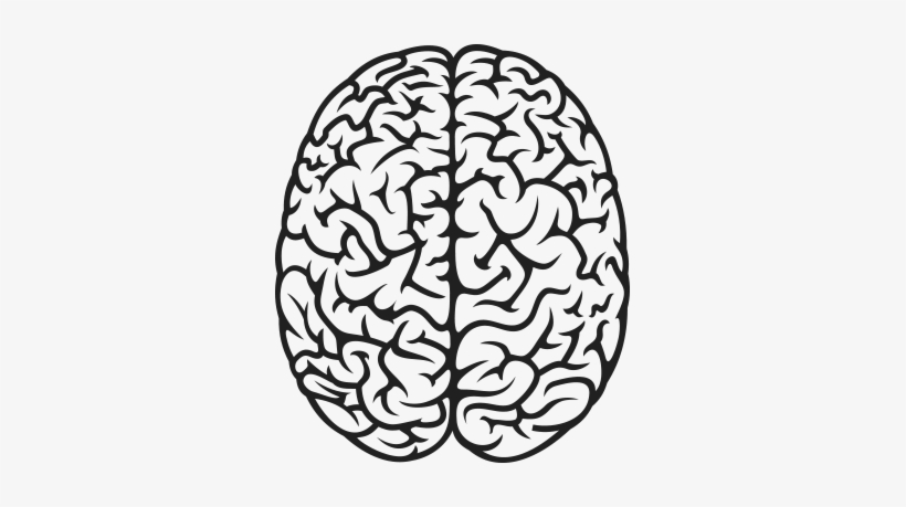 Drawn Brains Art Png - Cognitive Load Measurement And Application, transparent png download