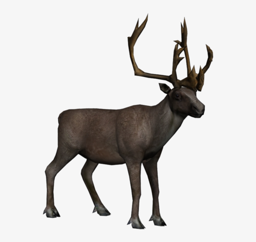 Caribou Transparent, transparent png download