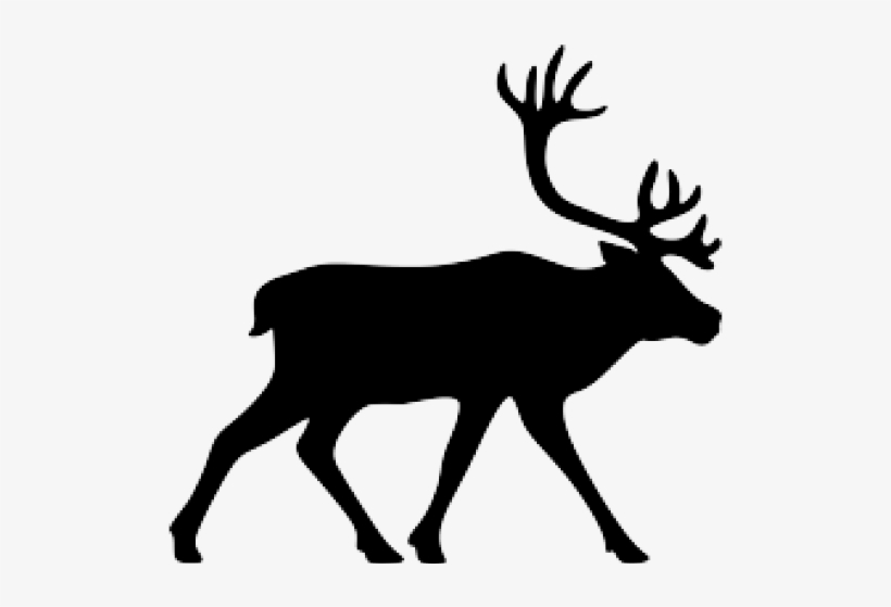 Vector Graphics, transparent png download