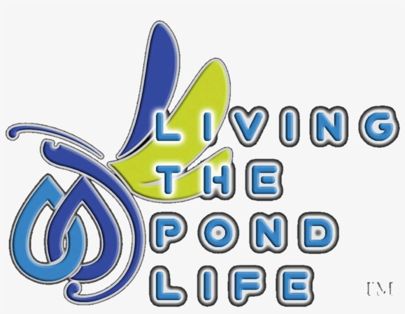 Florida Disappearing Pondless Waterfalls-orlando - The Pond Monster, transparent png download