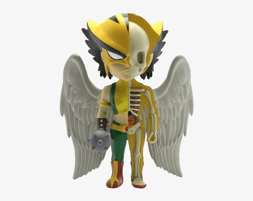 Hawkgirl Xxray By Jason Freeny Vinyl Figure - Dc Comics Xxray Figure Wave 5 Hawkgirl 10 Cm, transparent png download