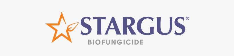 Electric Blue, transparent png download