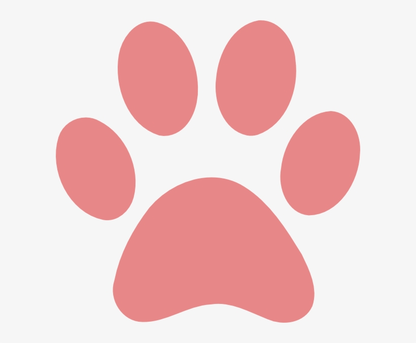 Orange Paw, transparent png download