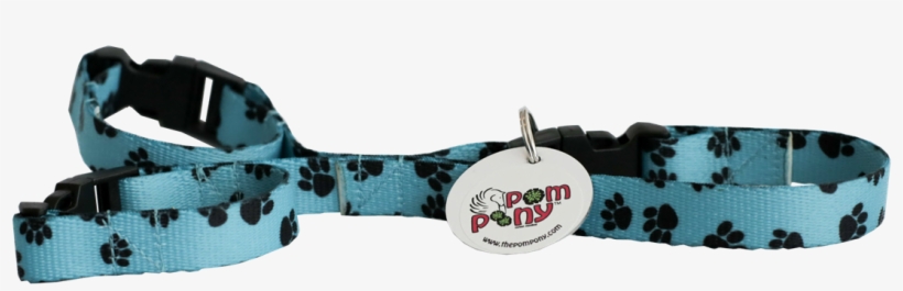 Paw, transparent png download