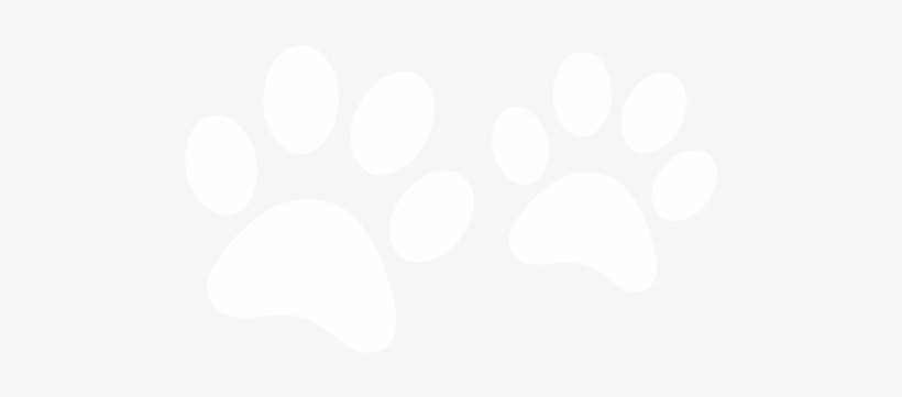 File White Paw Print Png Scruffy To Fluffy Grooming - White Paw Prints Png, transparent png download