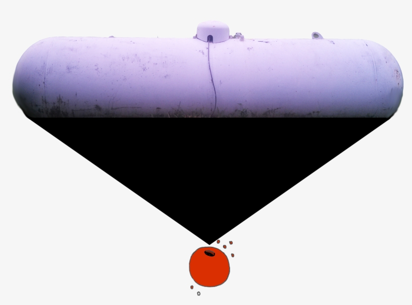 Embarrassed Of The Whole - Illustration, transparent png download