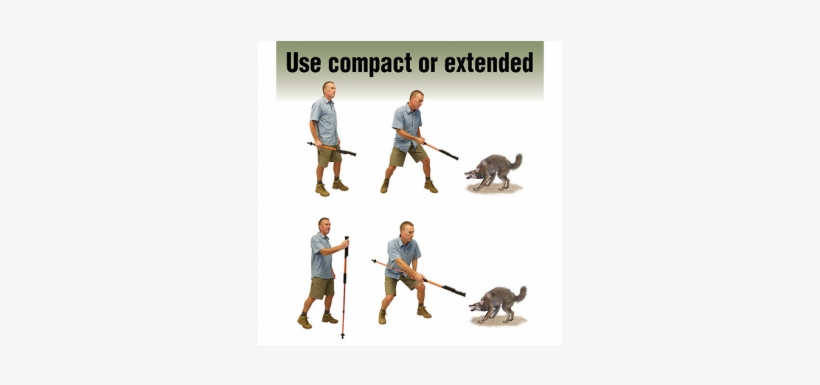 Personal Protection Items For Hikers - Stun Gun Staff, transparent png download