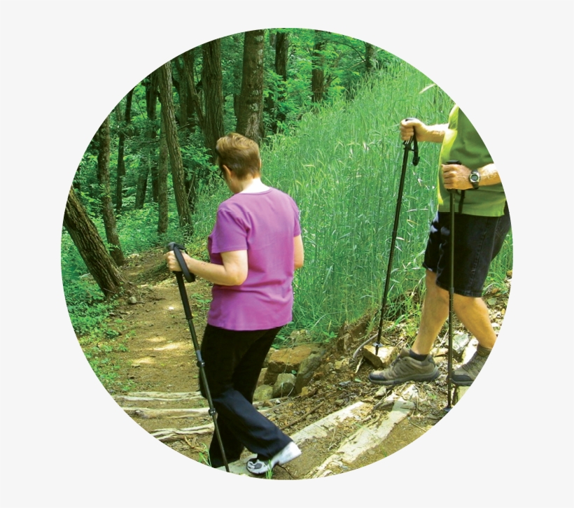 The Hike Winds Down Through A Cool Forest Into A Deep - Hiking, transparent png download