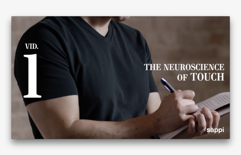 Learn More About The Neuroscience Of Touch - Neuroscience Of Touch, transparent png download