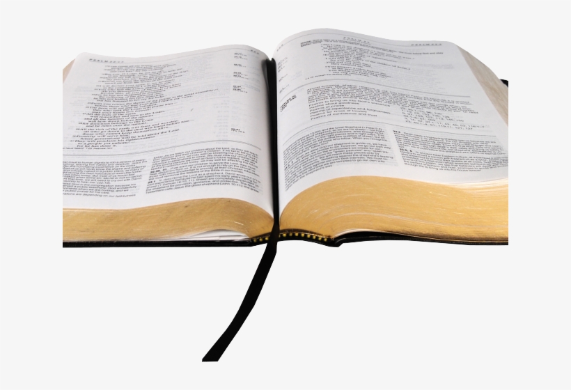 Bible Clipart Transparent Background - You're In God's Plan: And Designed, transparent png download