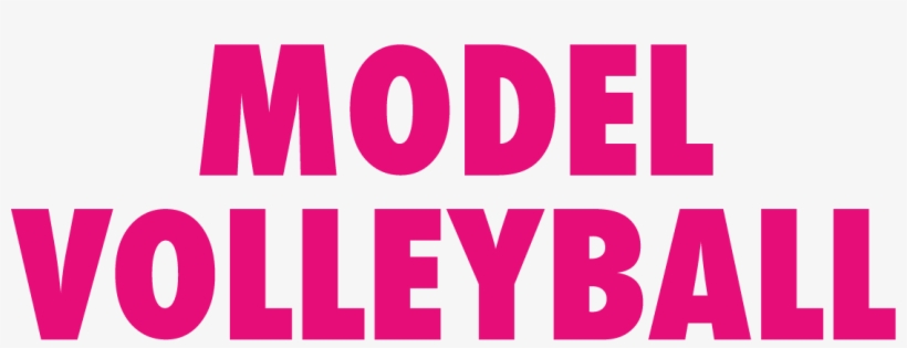 Model Volleyball - Wildfox Model Volleyball Venice, transparent png download