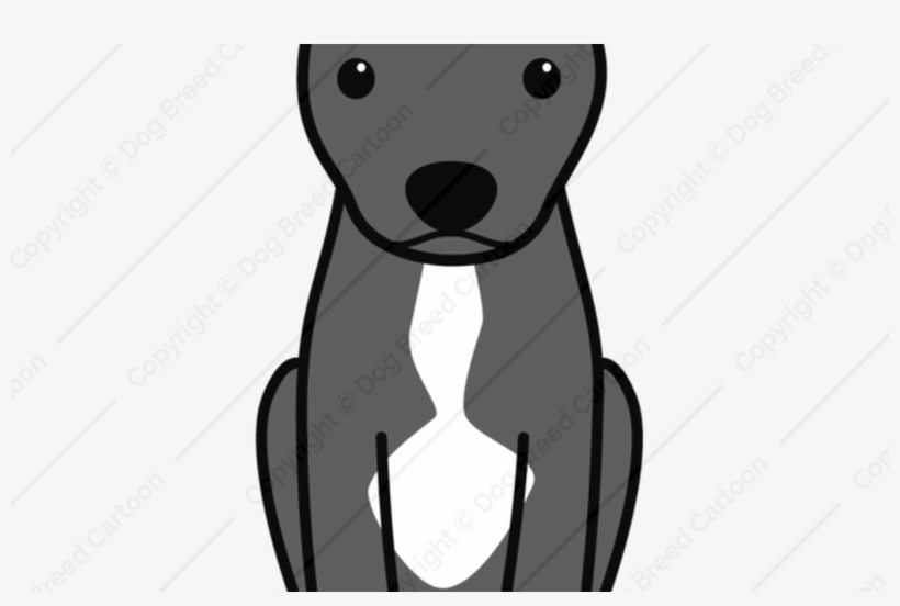 15 Pit Bull Terrier Png For Free Download On Mbtskoudsalg - Amerikanische Pitbull Terrier (natürliche Ohren) Grußkarte, transparent png download