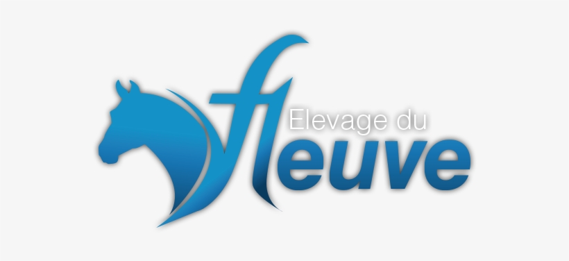 Norton De Vains - Norton Antivirus, transparent png download