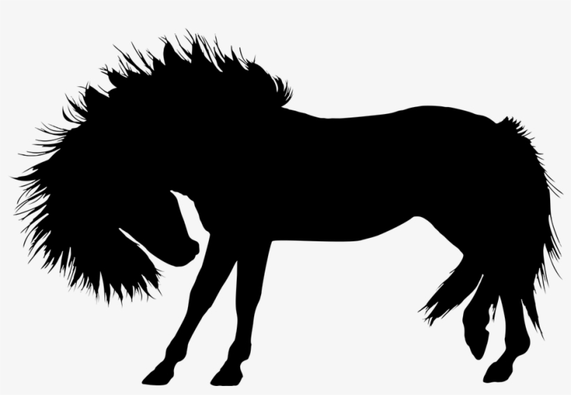 Animal, Equine, Horse, Silhouette, Stallion, Wild - Wild Horse Silhouette Png, transparent png download