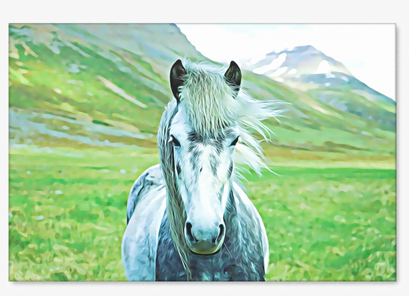 Wild Horse Portrait Canvas Painting - Horse Print, transparent png download
