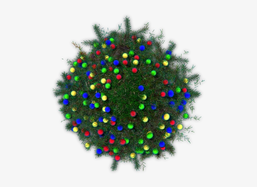 11 526k Tree, Transparent 06 Feb 2009 - Circle, transparent png download