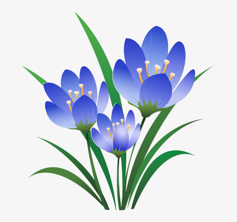 Crocus75 - Eid Ul Fitr 2018 Quotes, transparent png download