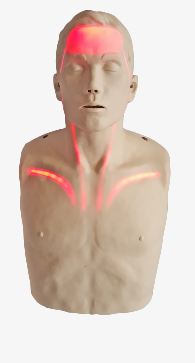 Brayden Cpr Manikin With Lights Giving Real Time Feedback - Brayden Cpr Training Manikin With Red Indicator Lights, transparent png download