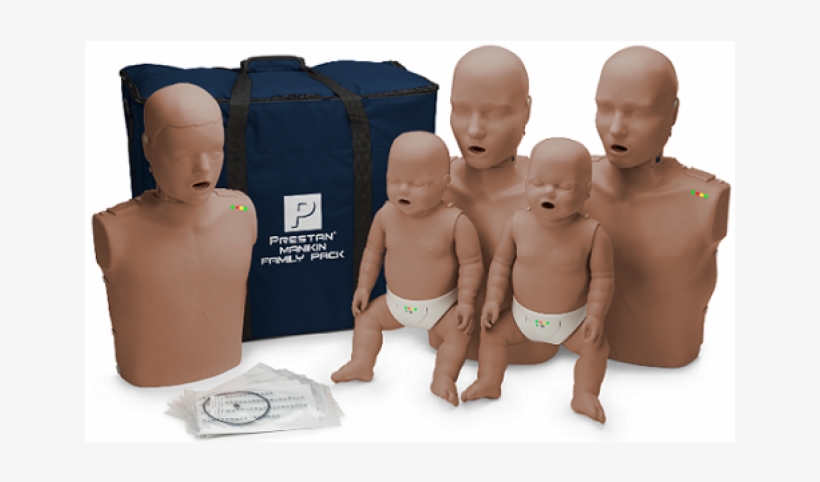Prestan Professional Cpr-aed Training Manikin Family - Prestan Cpr Manikin Family Pack, transparent png download
