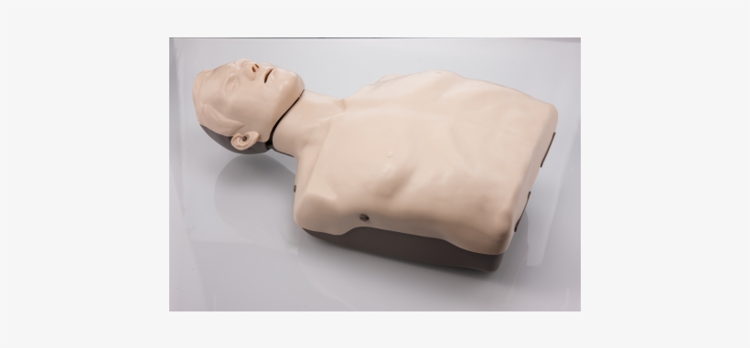 Brayden Cpr Manikin- Basic - Brayden Reanimatiepop Met Rode Ledverlichting, transparent png download