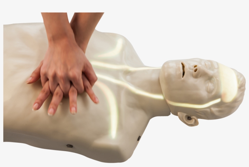 Amoul Man Cpr Training Manikin - Cpr Training Manikin ราคา, transparent png download