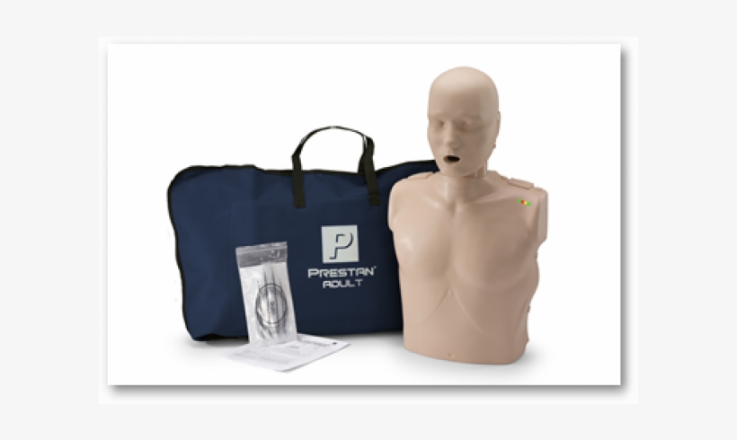 Prestan Professional Adult Manikins - Prestan Cpr Adult Manikin Single, transparent png download