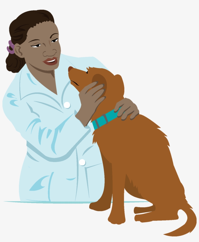 Vet Clipart Person - Veterinarian Clipart Png, transparent png download