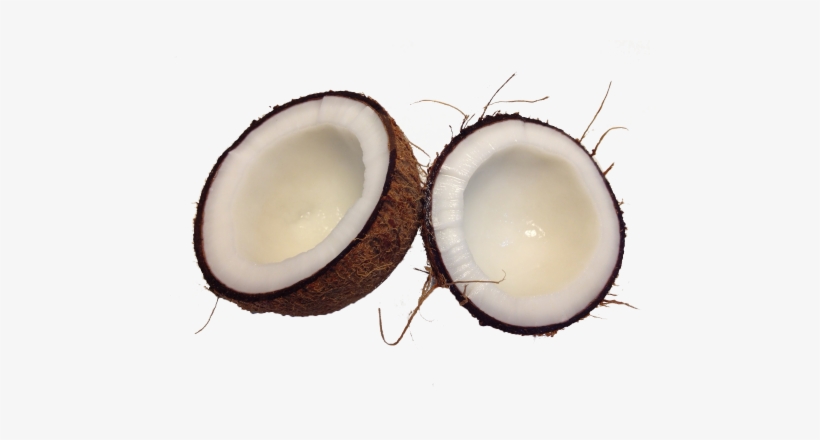 Brown Cocunut Png Image Purepng Free Transparent Cc0 - Coconut Aesthetics, transparent png download