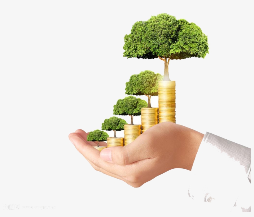 Graphic Free Download Broccoli Transparent High Definition - Australia Property Fund, transparent png download