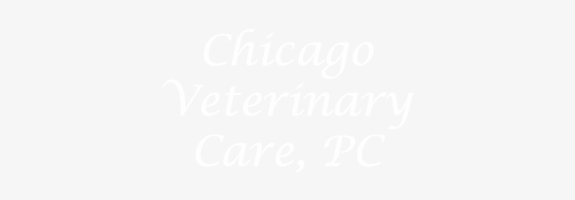 Chicago Vet - Ps4 Logo White Transparent, transparent png download
