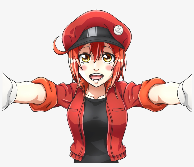 Resized To 36% Of Original - Red Blood Cell, transparent png download