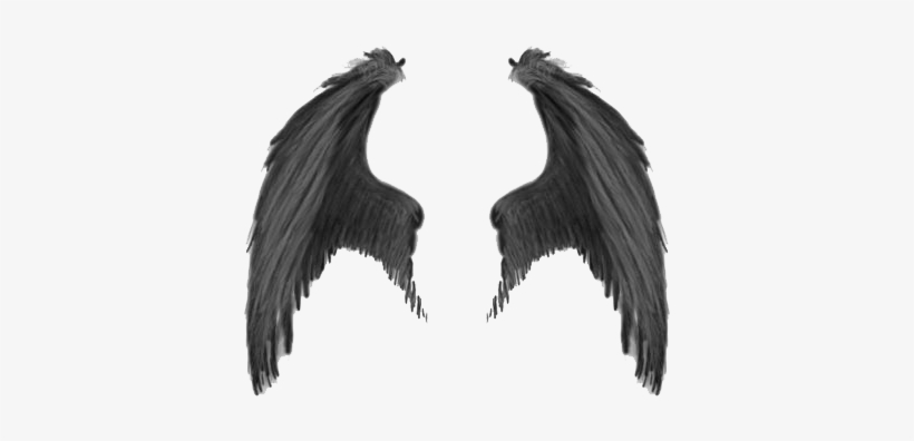 Wings Png Transparent Image - Realistic Demon Wings Png, transparent png download
