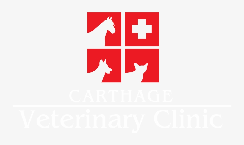 Carthage Veterinary Clinic, transparent png download