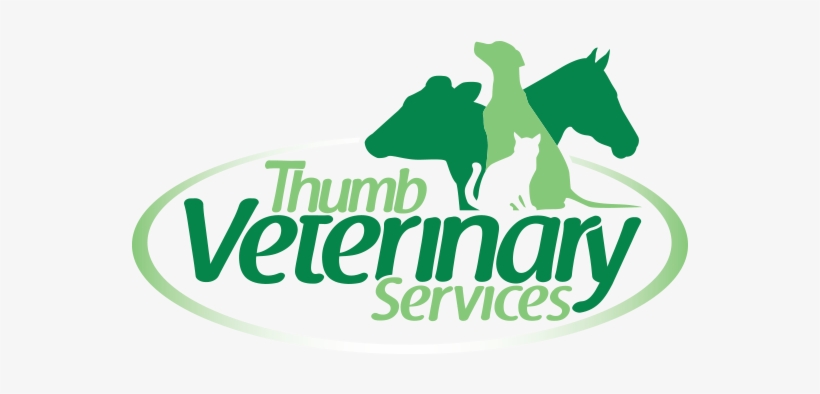 Veterinary Services, transparent png download