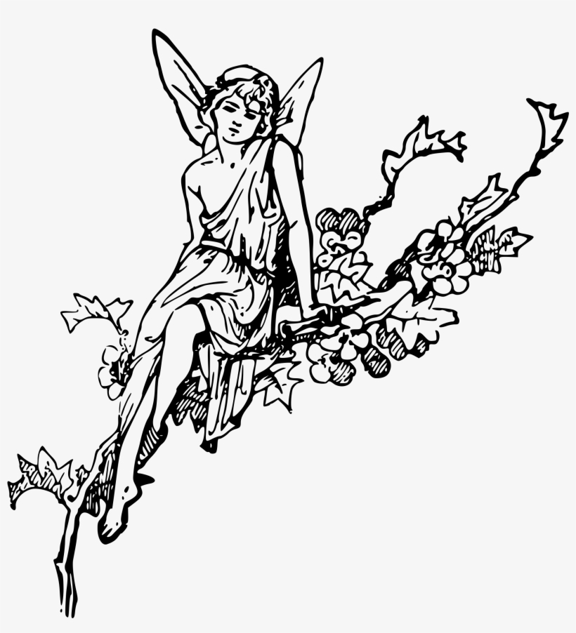 Big Image - Fairies Clipart Black And White, transparent png download