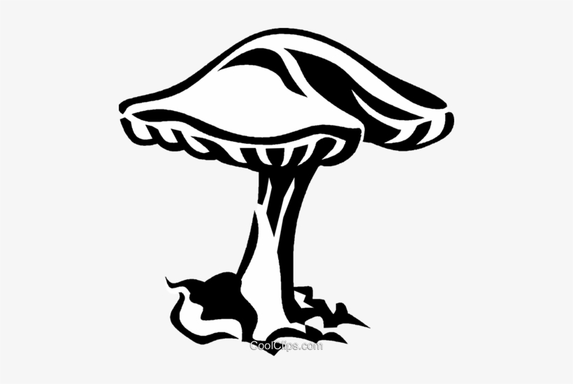 Mushroom, Toadstool Royalty Free Vector Clip Art Illustration - Mushroom, transparent png download