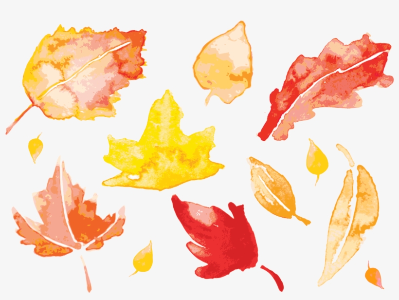 Clip Freeuse Library Leaves Watercolor Painting Leaf - Water Color Fall Leaf Vector, transparent png download