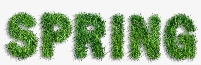 Graphic Freeuse Stock Spring Of Grass Png Clipart - Spring Text Png, transparent png download