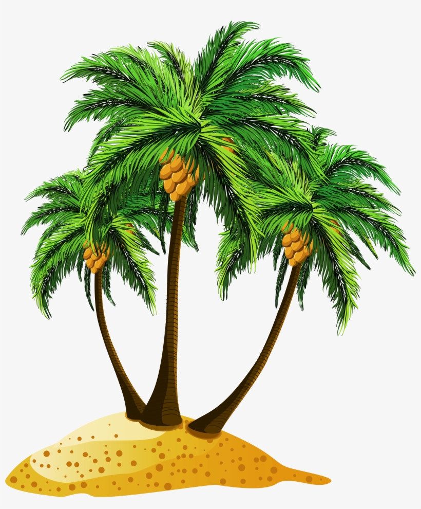 Palm Tree Beach Png, transparent png download