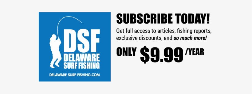 Maybelline, transparent png download