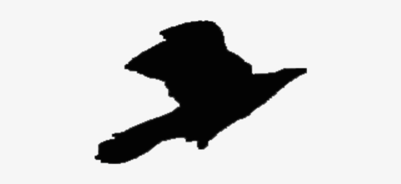 Silhouette Republic Of Ireland Drawing Violet Crow - Ireland Silhouette Transparent, transparent png download