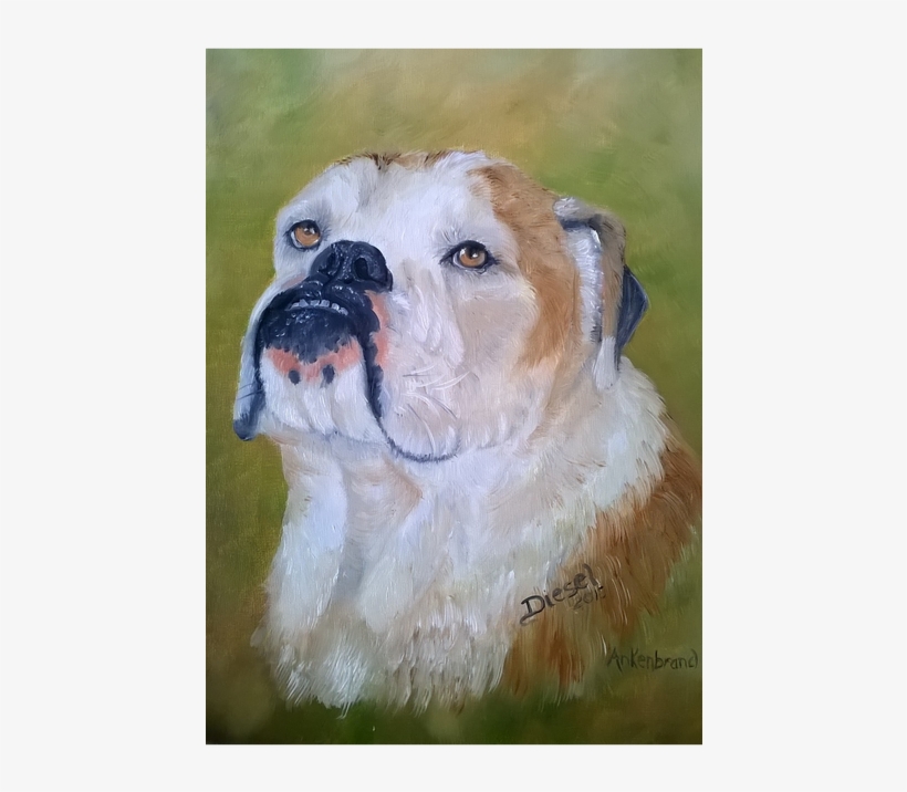Pet Or Owner And Pet Portraits In Oils Or Watercolors - Australian Bulldog, transparent png download