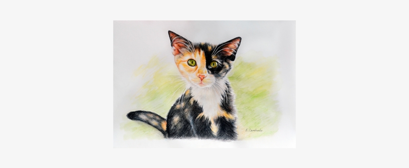 Cat Nala - Domestic Short-haired Cat, transparent png download